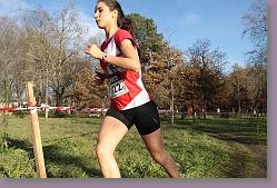 Begles 15.12.13 01 806 * 679 x 453 * (167KB)